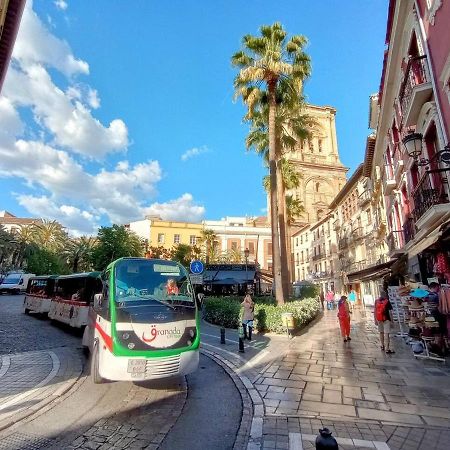 Granada Catedral Centroアパートメント エクステリア 写真
